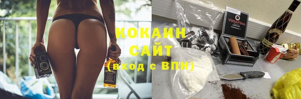 гидра Бронницы