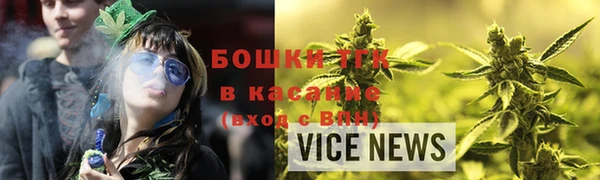 гидра Бронницы
