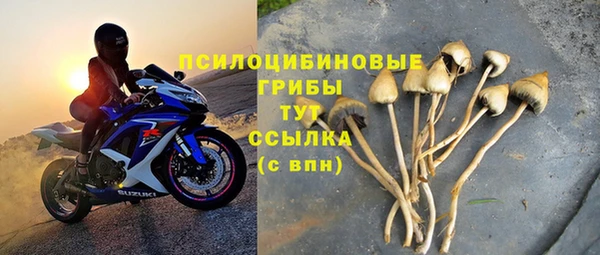 Альфа ПВП Бугульма