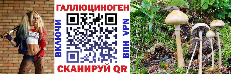 Псилоцибиновые грибы Cubensis  магазин    МЕГА как войти  Вязьма 