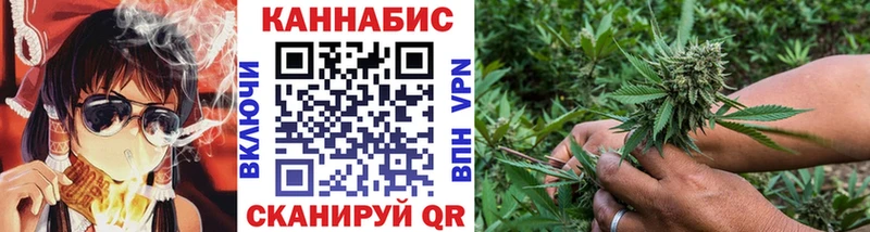 Канабис план  купить наркотики цена  Вязьма 